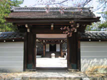 仁和寺の写真 6
