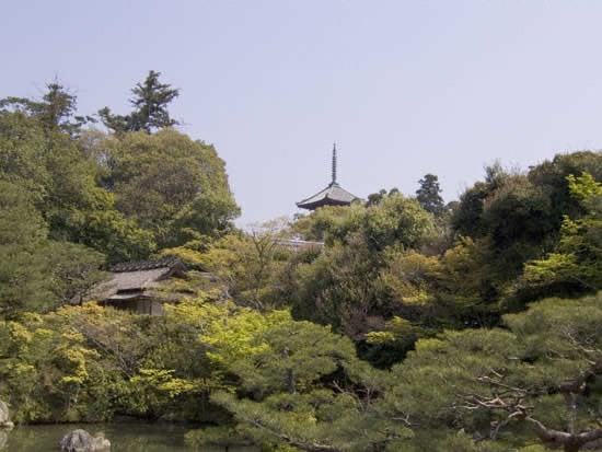 仁和寺の写真 9