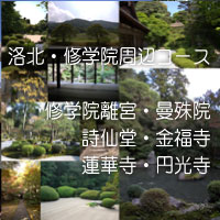 �C�w�@�E���哰���ӎU�􃋁[�g