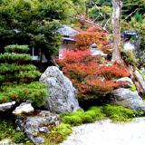 阿弥陀寺の写真