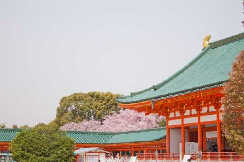 平安神宮の写真 3