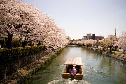 平安神宮の写真 4