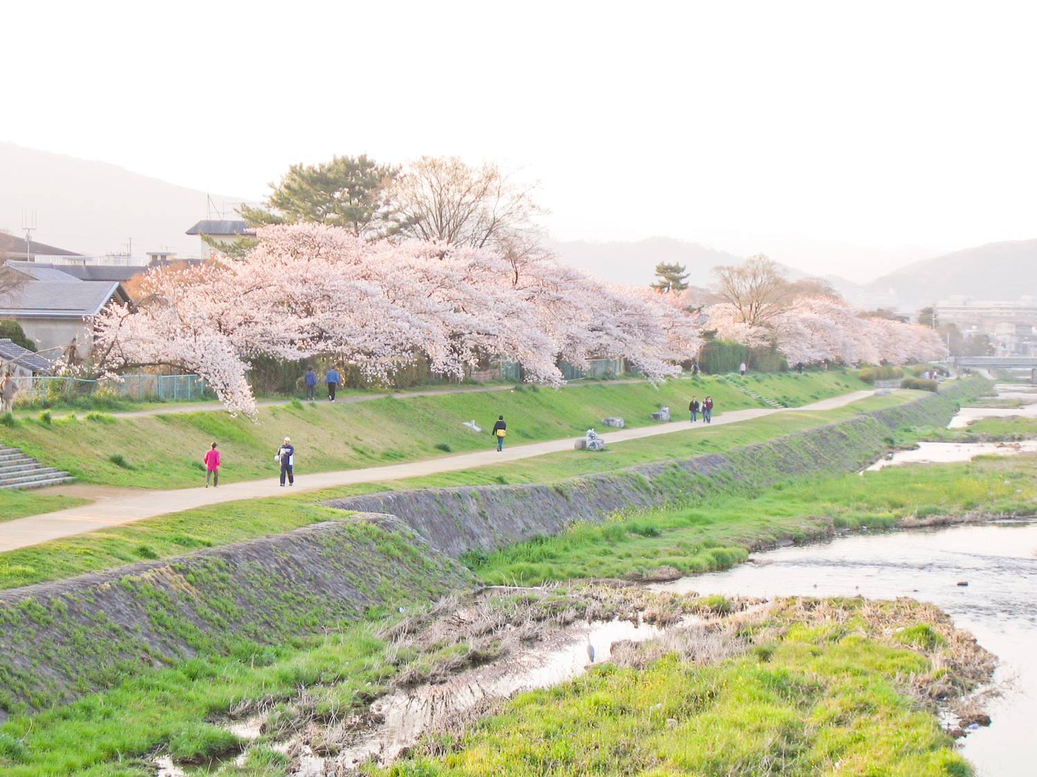 鴨川の写真 2