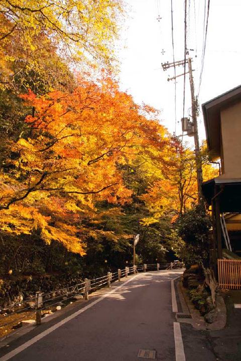 貴船神社の写真 5