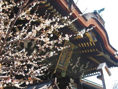 北野天満宮の写真 3