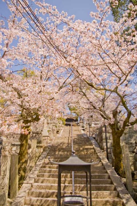 金戒光明寺の写真 3