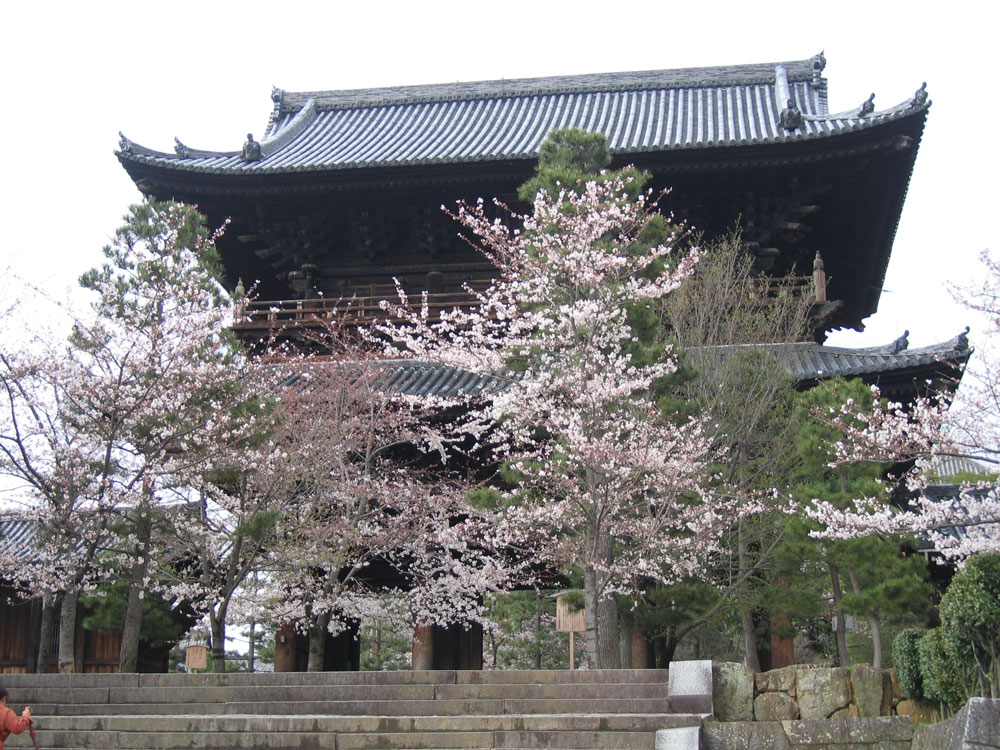 金戒光明寺