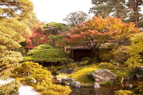 京都御所の写真 6