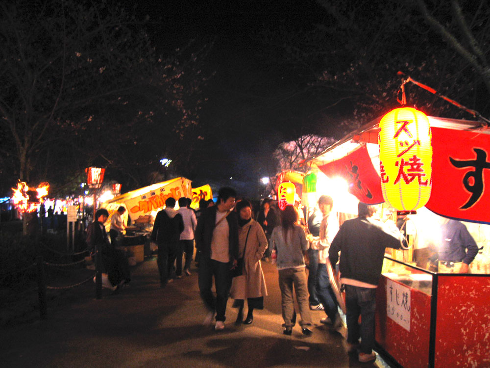 円山公園の写真 2