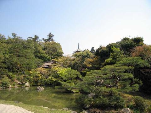 仁和寺の写真 4