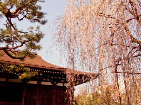 千本釈迦堂